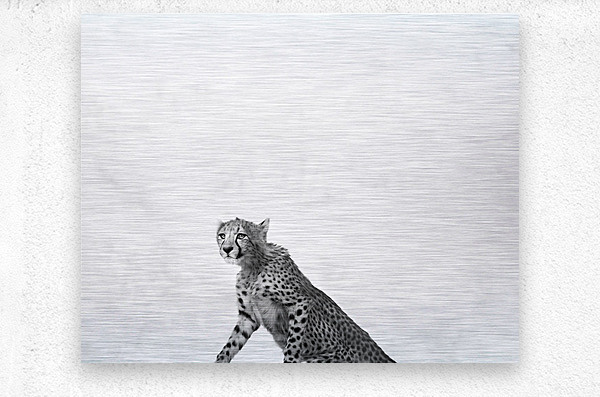 Minimalist cheetah standing up  Metal print