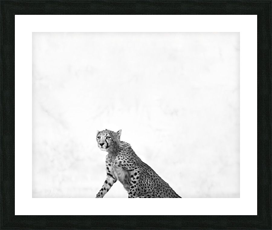 Minimalist cheetah standing up Picture Frame Printing