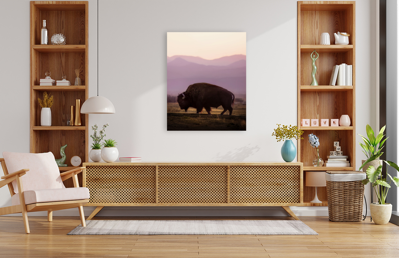 Bison enjoying a sunset  back frame mount