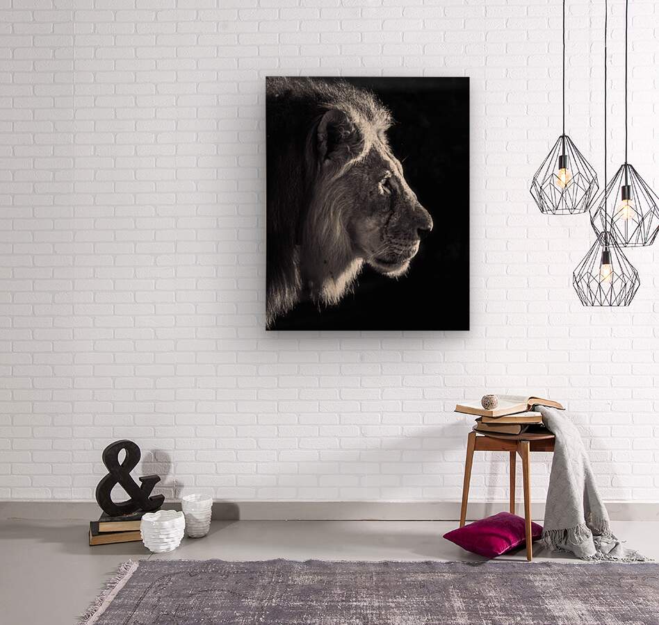 Black and white lion profile  Wood print