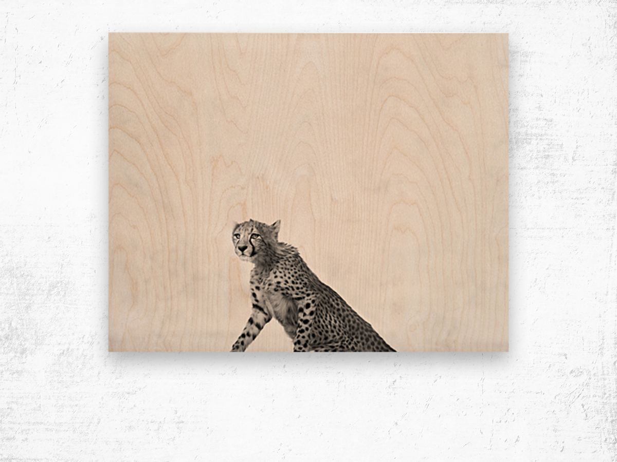 Minimalist cheetah standing up Wood print