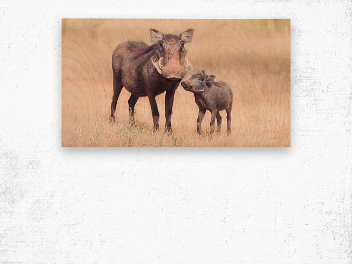 Warthog and her baby Wood print